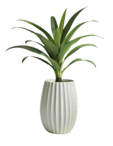 palm tree pot isolated 23 2151867795 removebg preview طراحی سایت گل فروشی