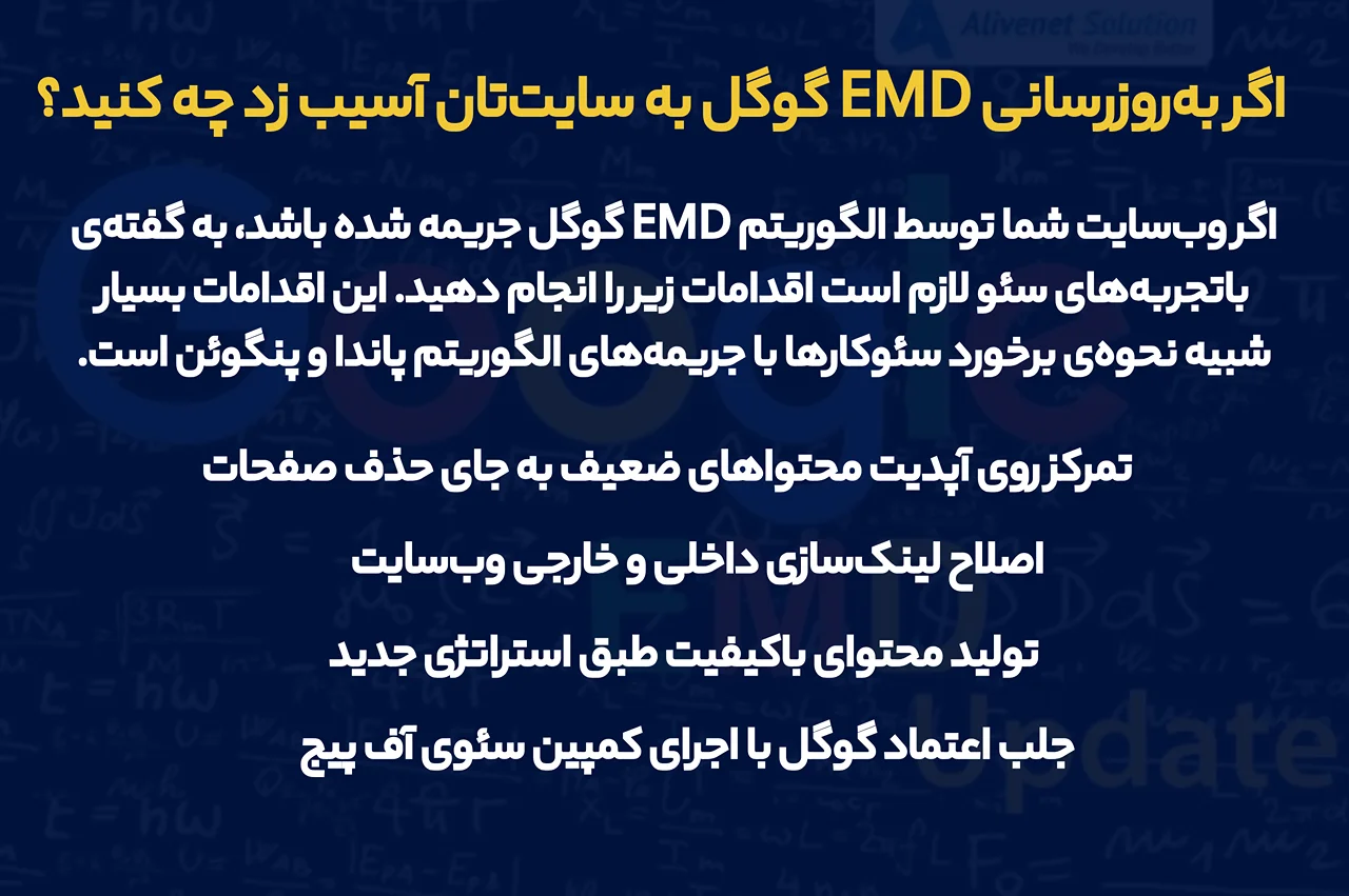 اگر به‌روزرسانی EMD گوگل به سایت‌تان آسیب زد چه کنید